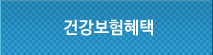 건강보험혜택